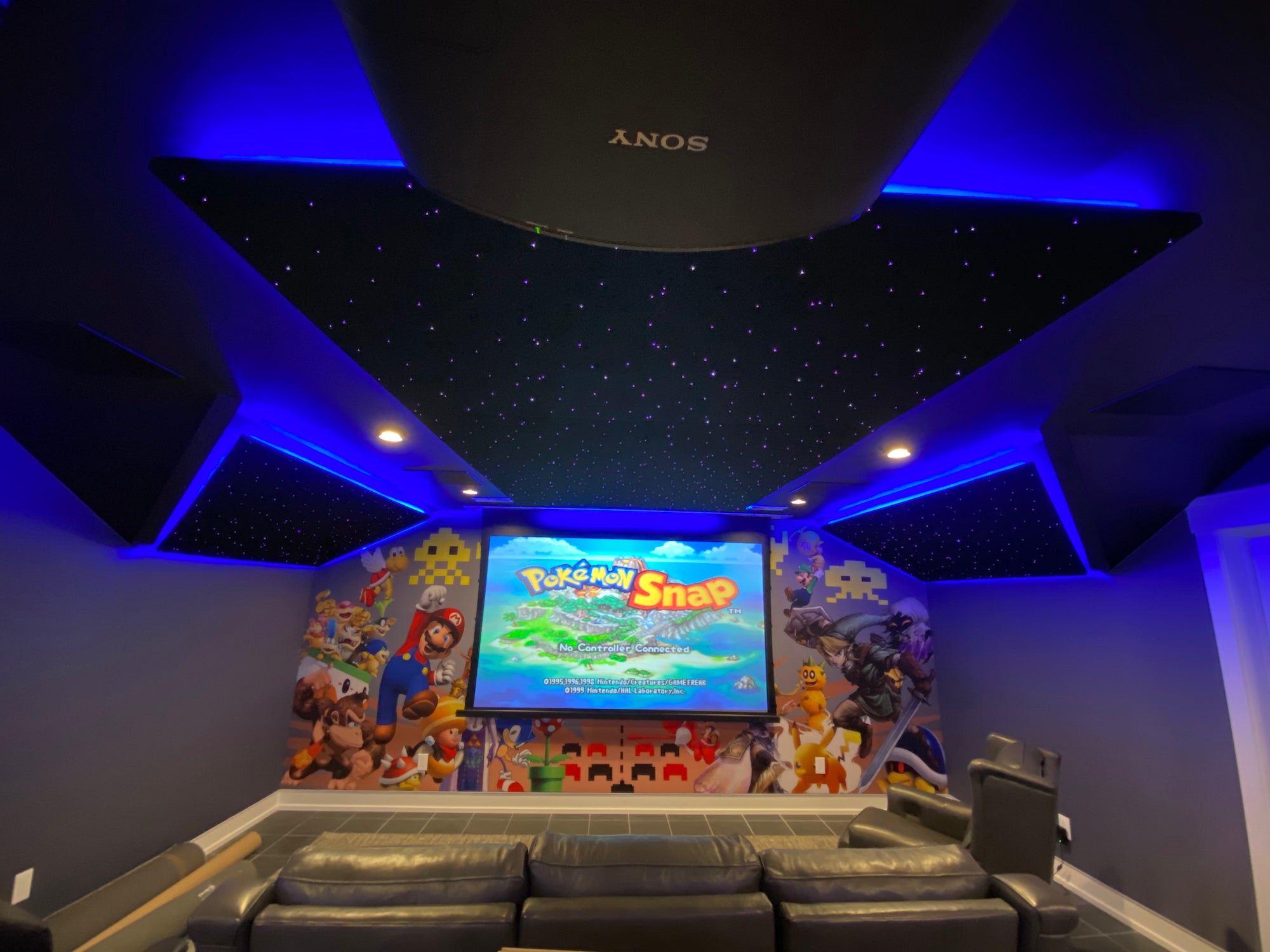 Media Room Gallery